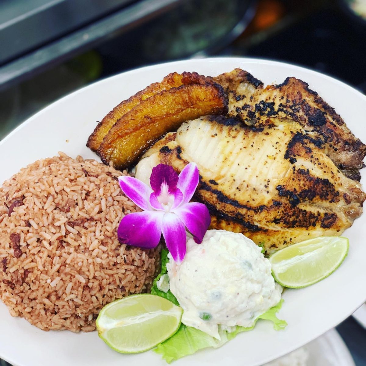 Grilled Tilapia Filet